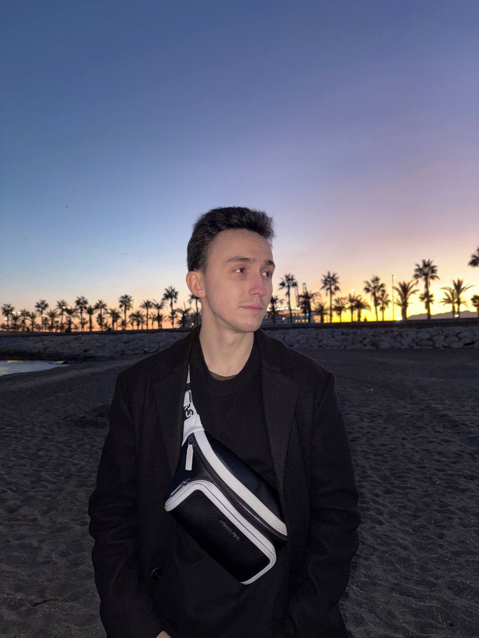 Daniel Chivas Physics Programmer